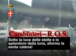 2015_02_13_operazione_insibria_processo_milano (1)