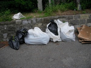 I sacchi abbandonati sono stati raccolti dai volontari in attesa che Aprica passi a ritirarli