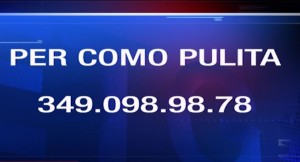 percomopulitanumero