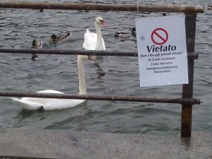 2015_09_30_cartello_divieto_cibo_animali_selvatici