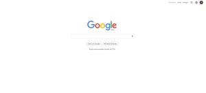 home page google