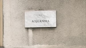 2016_01_13_albate_acquanera