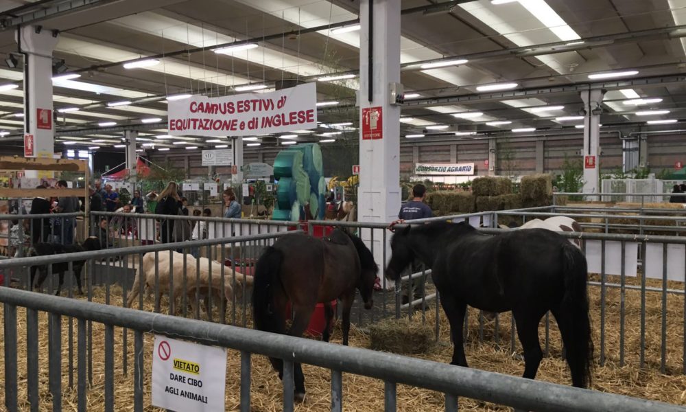 Lariofiere, da giovedì a domenica torna Agrinatura