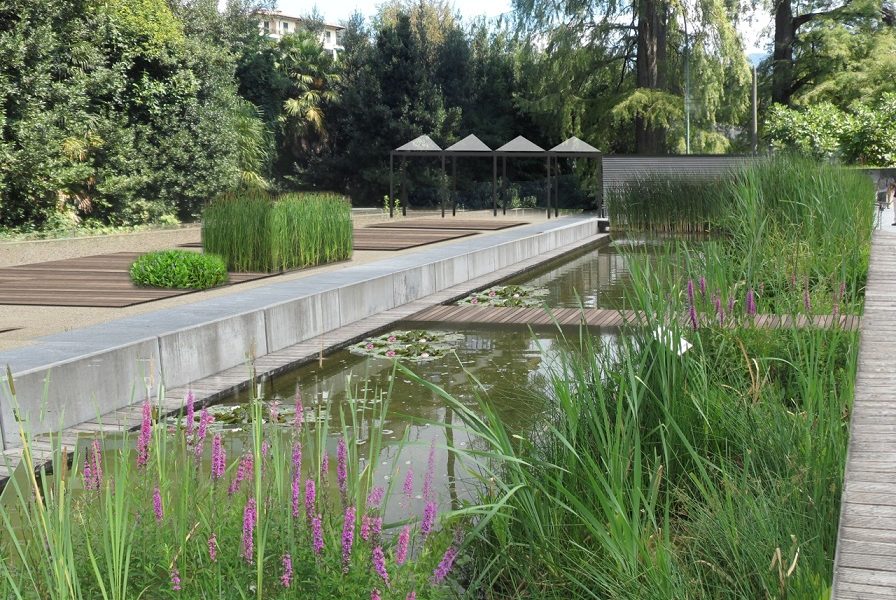 VIDEO Villa Olmo, da Roma la protesta: “Bando per l’orto botanico illegittimo”. Atto sospeso