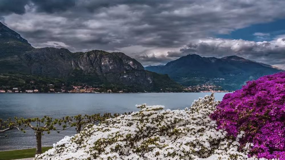 VIDEODOC – I giardini di Villa Melzi a Bellagio: un volo (letterale) tra colore e luce
