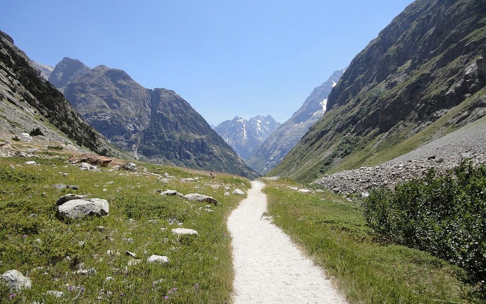 Tragedia nei boschi: cade per cento metri, muore cercatore di funghi di Ponte lambro
