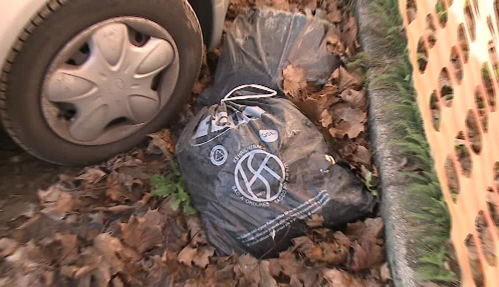 VIDEO Stazione di Grandate, parcheggi-discarica. Nelle aree di sosta anche sacchetti svizzeri