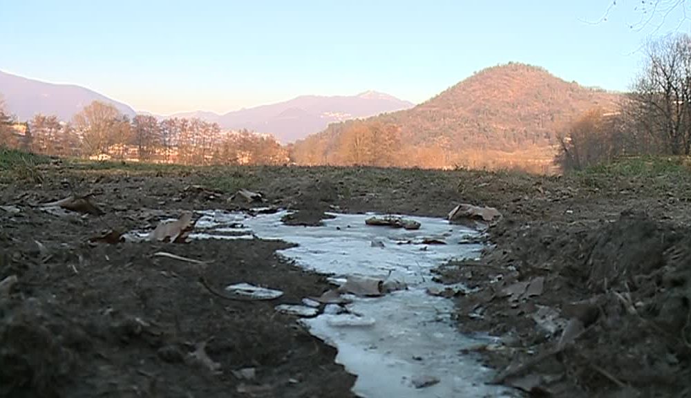 Lotta contro il freddo, l’allarme di Coldiretti: “Piante e ortaggi a rischio gelate, stalle da scaldare”