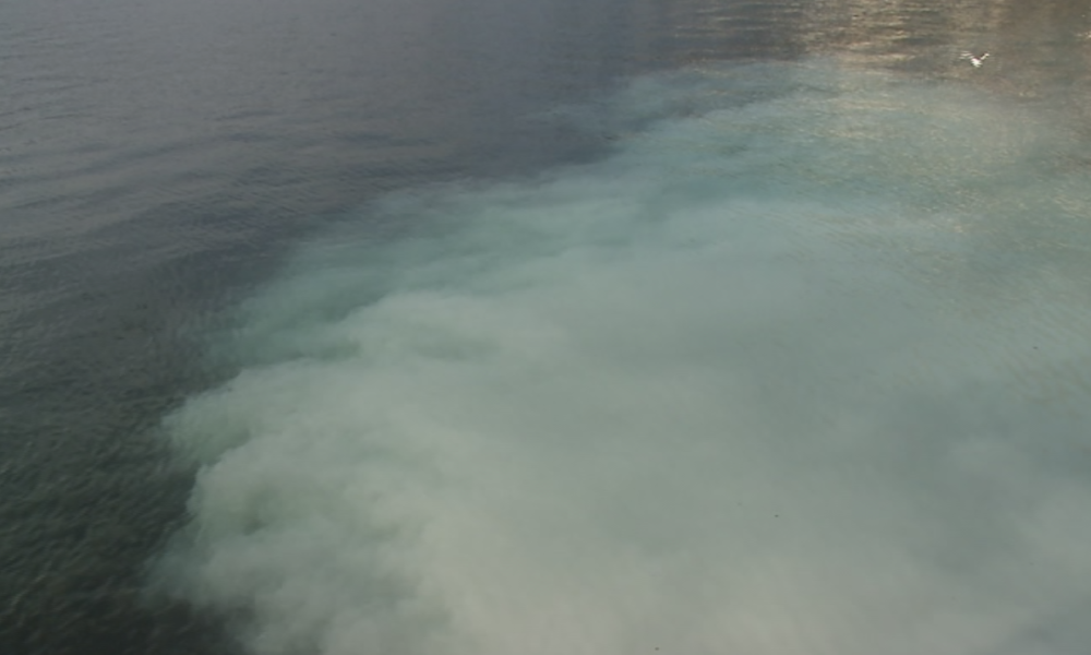 VIDEO Molo di Sant’Agostino: un’enorme chiazza nel lago. Indagini in corso