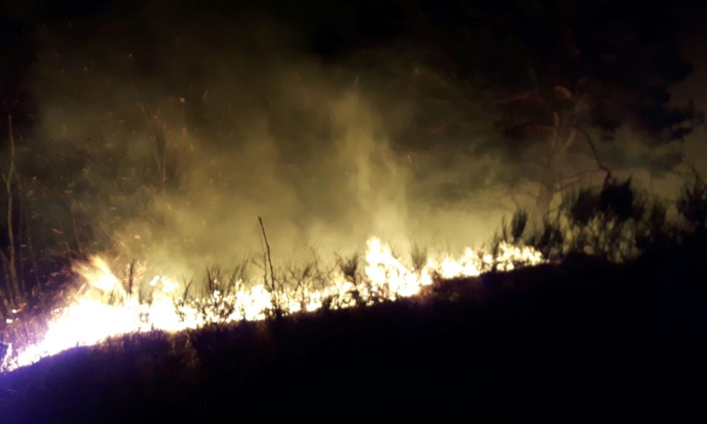 Fiamme in Altolago, arrestati due piromani: incendiavano e assistevano allo spegnimento