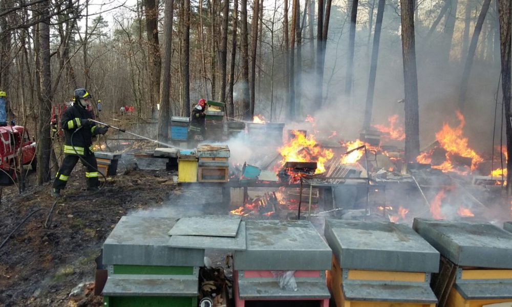 FOTO Appiano Gentile, 50 arnie di api in fiamme nel Parco Pineta