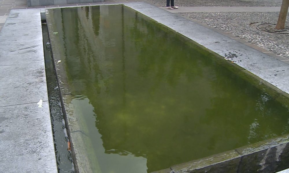 VIDEO Cartoline da Como, migliaia di turisti e lo scandaloso degrado di fontane e bagni pubblici