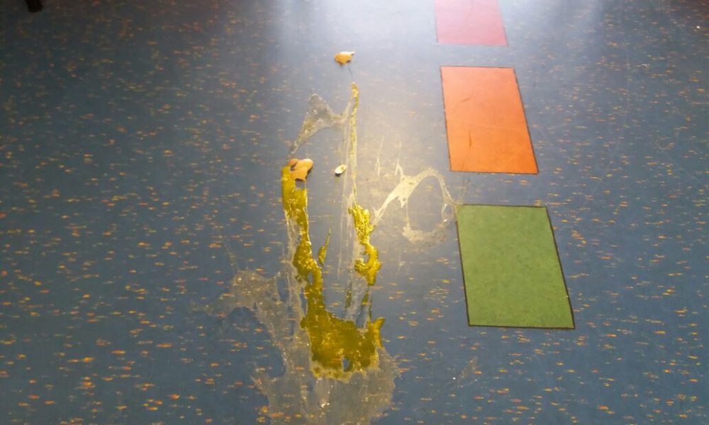 GALLERY Como, follia pura al nido di via Giussani: locali devastati, spaccate centinaia di uova