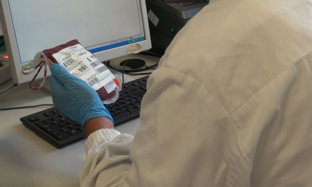 Emergenza sangue in Lombardia, il presidente Avis: “Mi appello ai donatori del gruppo Zero”