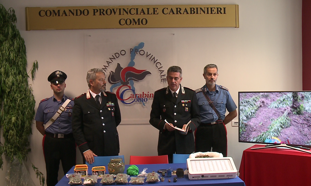 Dalla coltivazione allo spaccio: 330 piante di marijuana scoperte in via Rienza. Un arresto