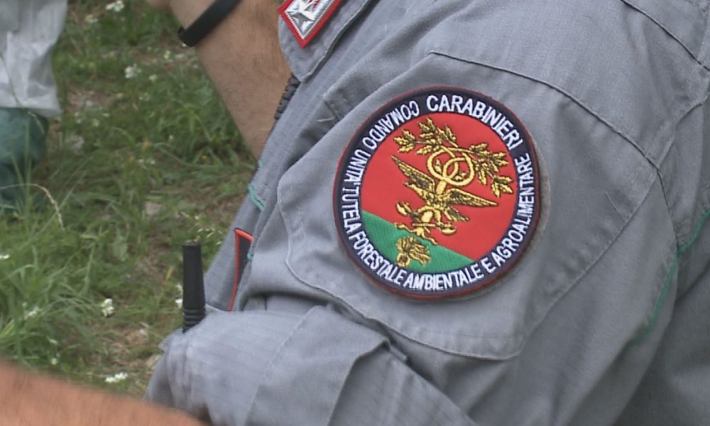 Buste della spesa inquinanti: controlli a raffica dei forestali, multe per 80mila euro