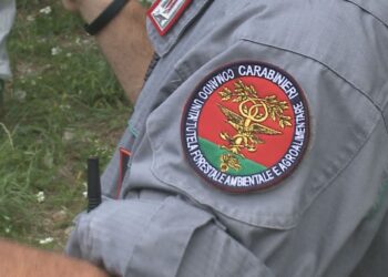 carabinieri forestali