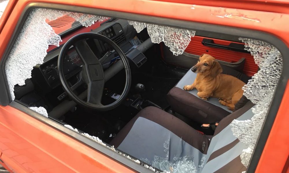 Rovellasca: va a rubare l’auto e si porta il cane. Arrestato 47enne, il bassotto terrorizzato non si muove dal sedile