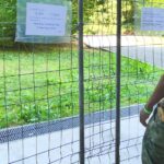 immigrati val mulini