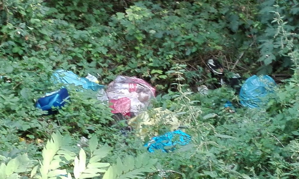 Legambiente ripropone “Puliamo il mondo”. Volontari attesi domenica a Como