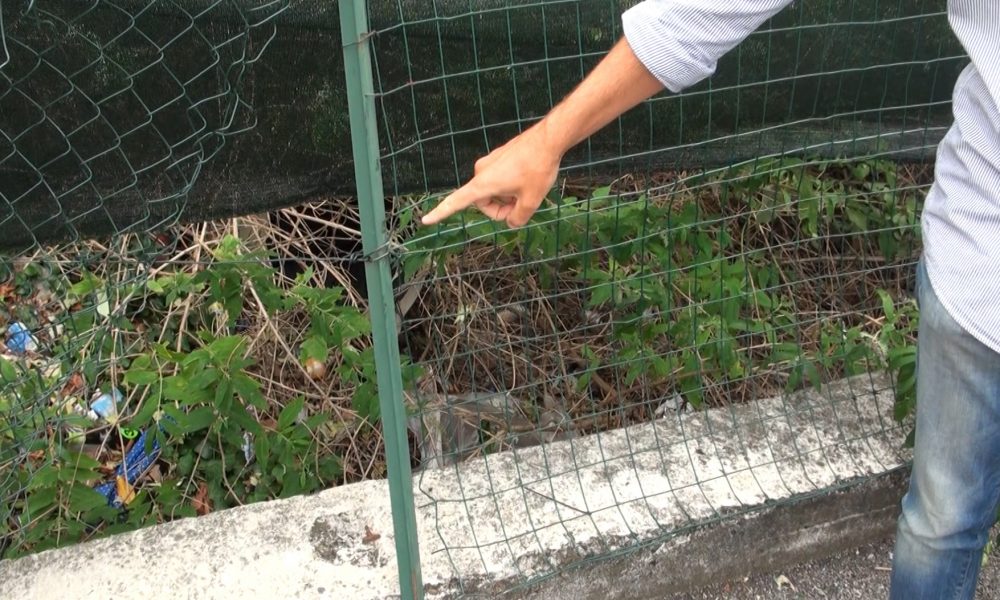 Ticosa, nuova varco nella rete e distesa di superalcolici. Torna lo spettro “hotel per disperati”