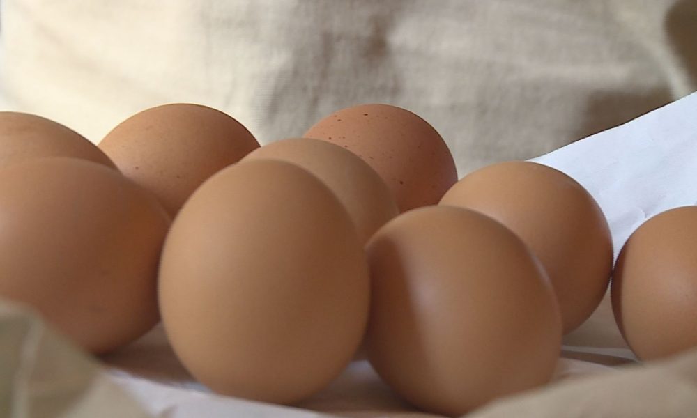 Uova contaminate, controlli possibili su trenta aziende tra Como e Varese