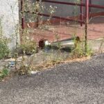 vandali_pianella (4)