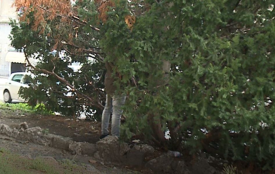 I residenti di via Milano e piazza San Rocco esasperati: “Qui è il Bronx, siamo dimenticati”