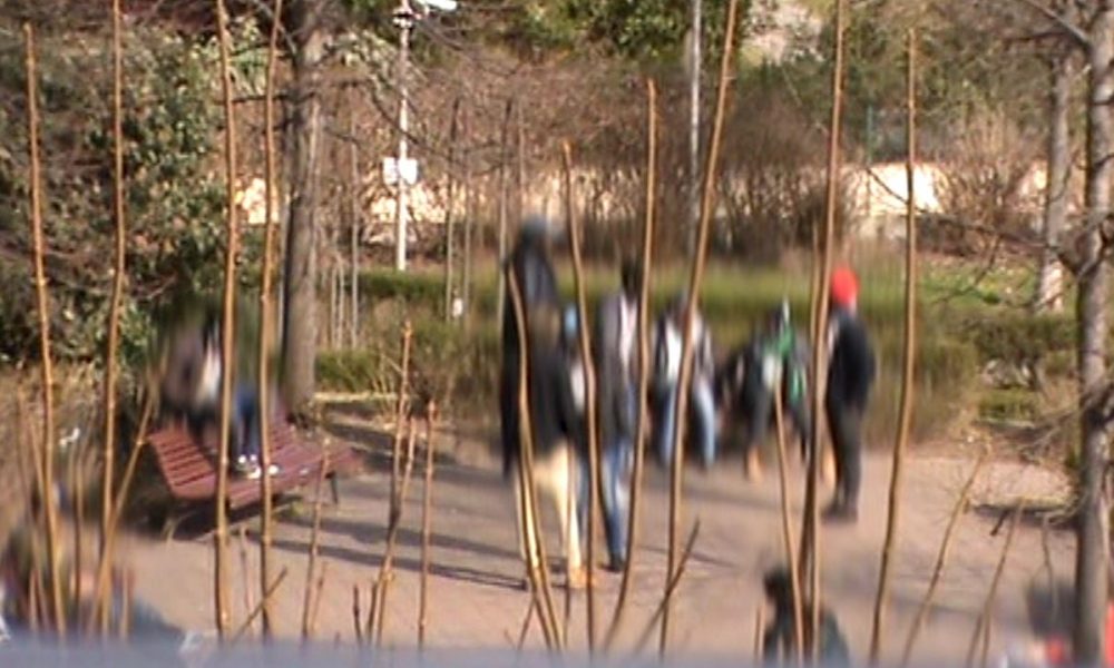 Microspaccio a Como, il centro ai giardini ex zoo. I pusher arrivano dal Gambia. La Caritas: “Ingaggiati dalla malavita”