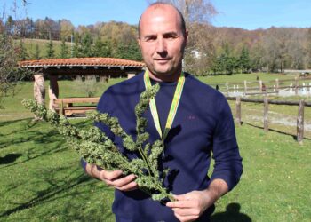 Michele Maglia, imprenditore agricolo