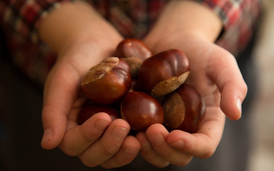 Borghi lariani: una risorsa per rilanciare il turismo