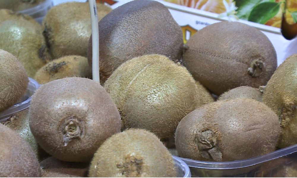 L’agricoltura lombarda fa i conti con i danni del maltempo. Coldiretti: “Perso il 50% dei kiwi”