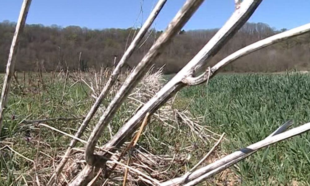 Siccità sul Lario, a Como piogge ridotte del 57,9%