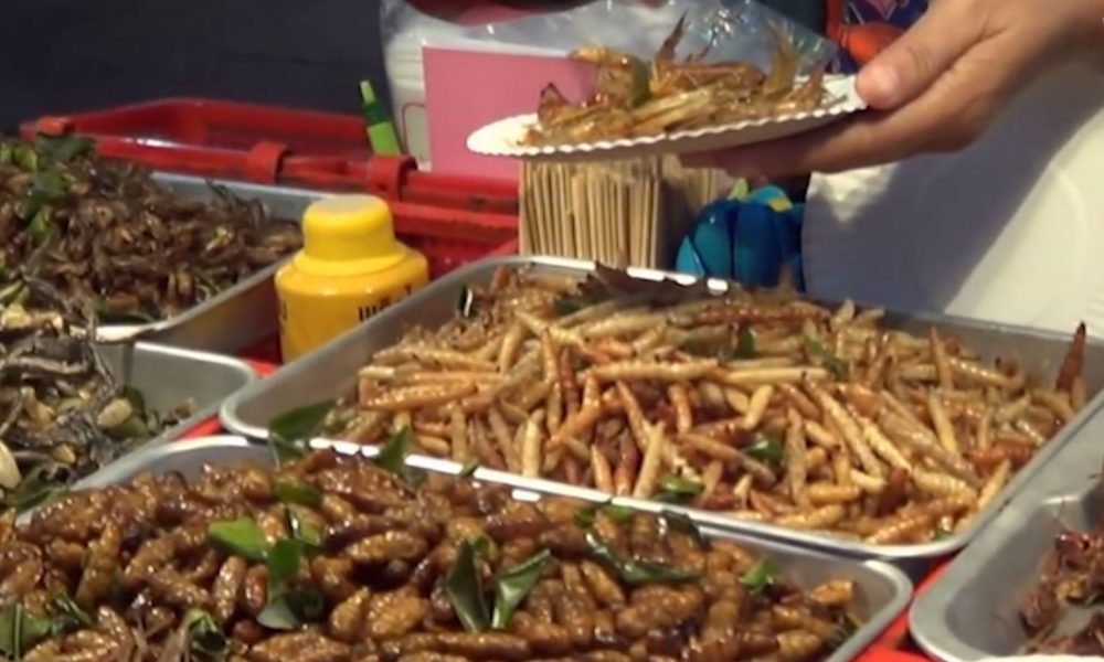 Insetti in tavola vietati in Italia, imprenditori comaschi interessati alla novità. Interviene il Ministero