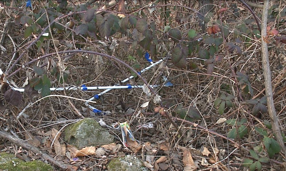 Abbandono selvaggio di rifiuti. I casi di Olgiate Comasco e Como