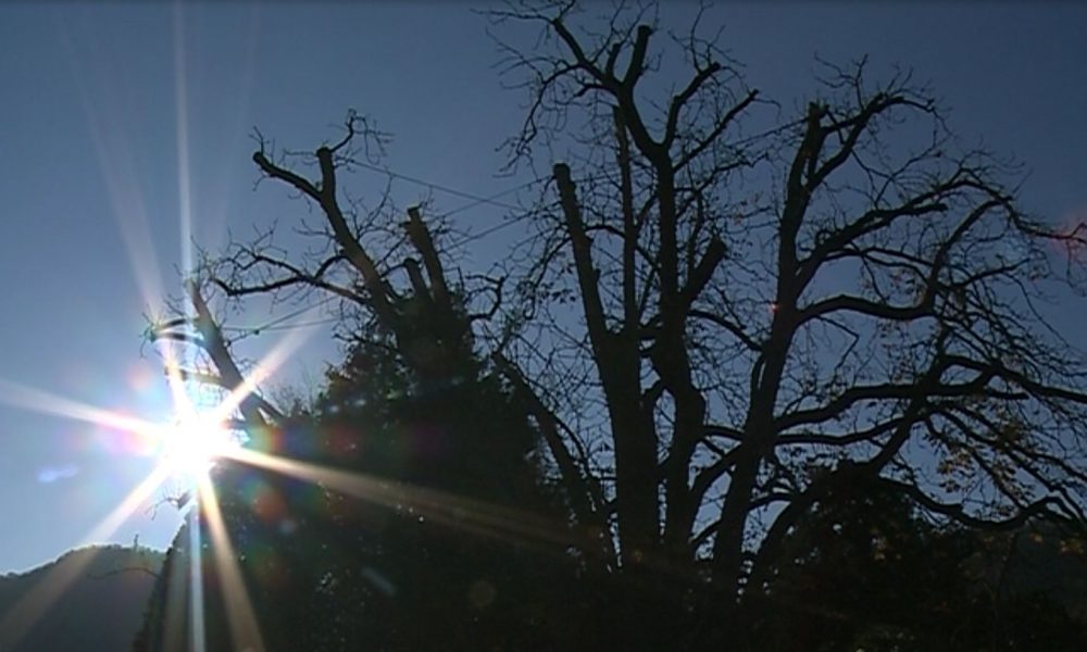 Niente gelo nei giorni della Merla, Coldiretti: “Minime a Como superiori di un grado”