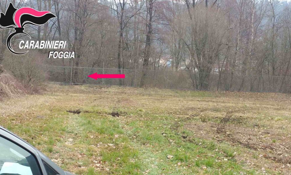 Assalto fallito al caveau svizzero, il piano dei pugliesi che si ispiravano al film Ocean’s Eleven