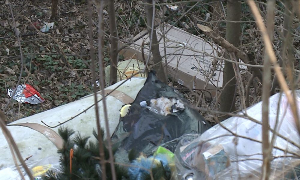 Discarica a cielo aperto in via Dei Mulini, il Codacons presenta denuncia alla Procura