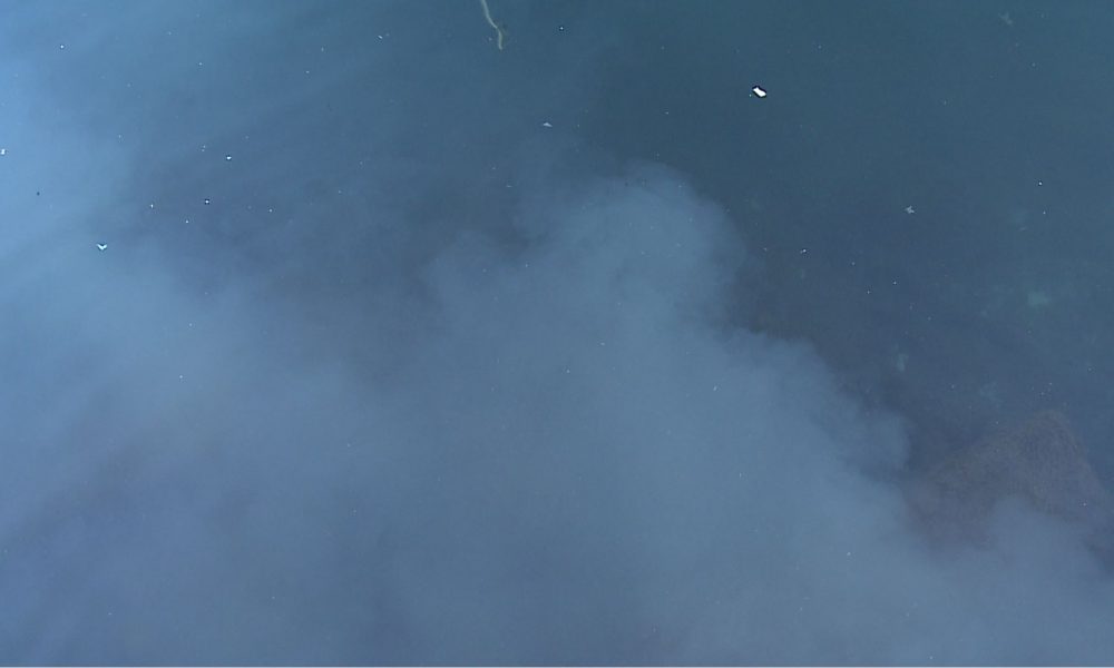 Como, sversamento di liquami nel lago. Il sindaco di Blevio: “Faremo le verifiche del caso”