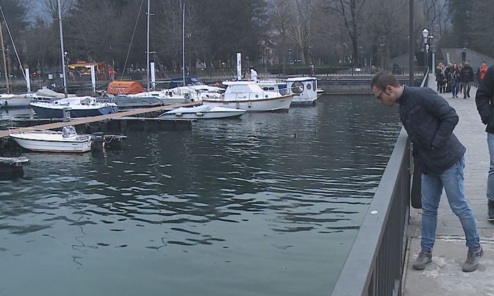 Liquami nel lago dalla diga foranea: lunedì l’intervento. Il caso al consiglio degli Amici di Como
