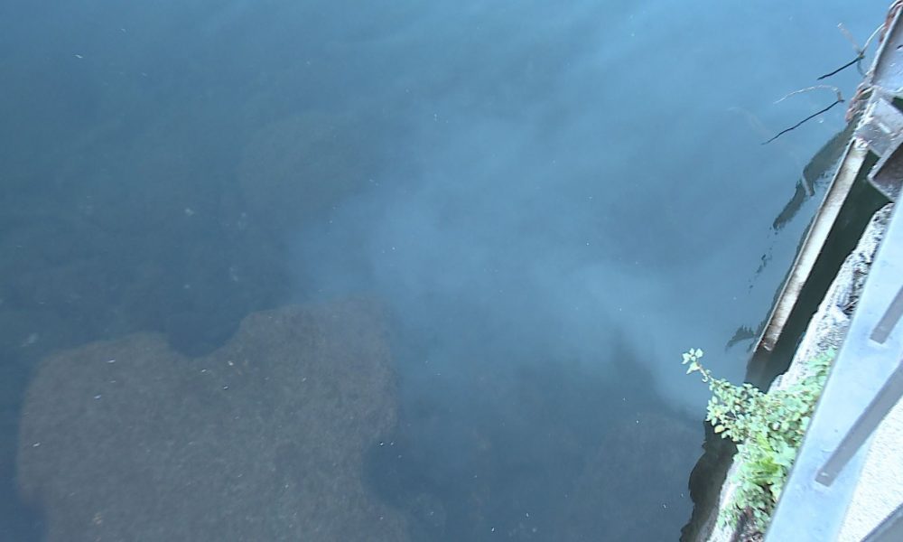 Como, sversamento di liquami nel lago. Da lunedì chiusa la diga per consentire l’intervento