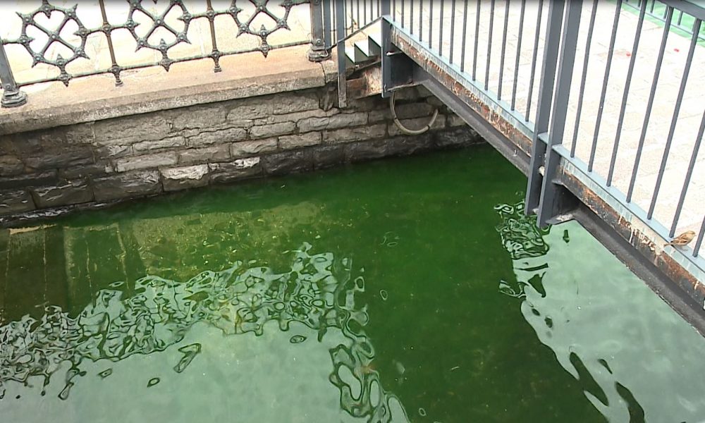 Lavori alle fogne, svelato il mistero dell’acqua verde nel lago