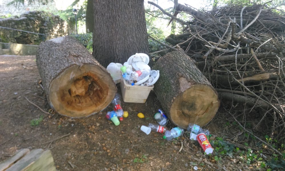 Abbandono selvaggio di rifiuti, i casi di  Sagnino e Monte Olimpino