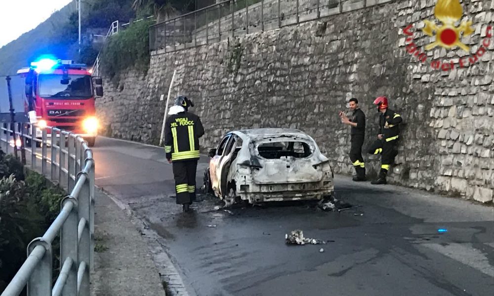 Valsolda, auto investe due asini e prende fuoco dopo lo scontro. Salvo il conducente