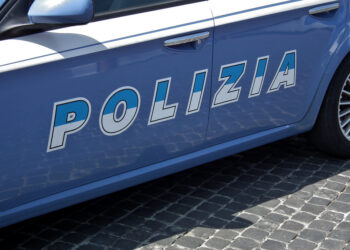 Pattuglia della Polizia di Stato - Non sopporta più la suocera e chiama gli agenti