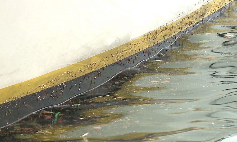 Sporcizia e detriti ricoprono il lago, il cattivo tempo ha trasportato rifiuti di ogni genere