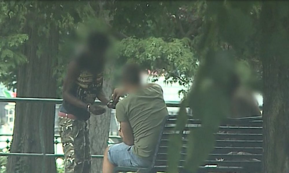 Spaccio e risse ai giardini a lago, i comaschi sulla rete: “Inaccettabile”