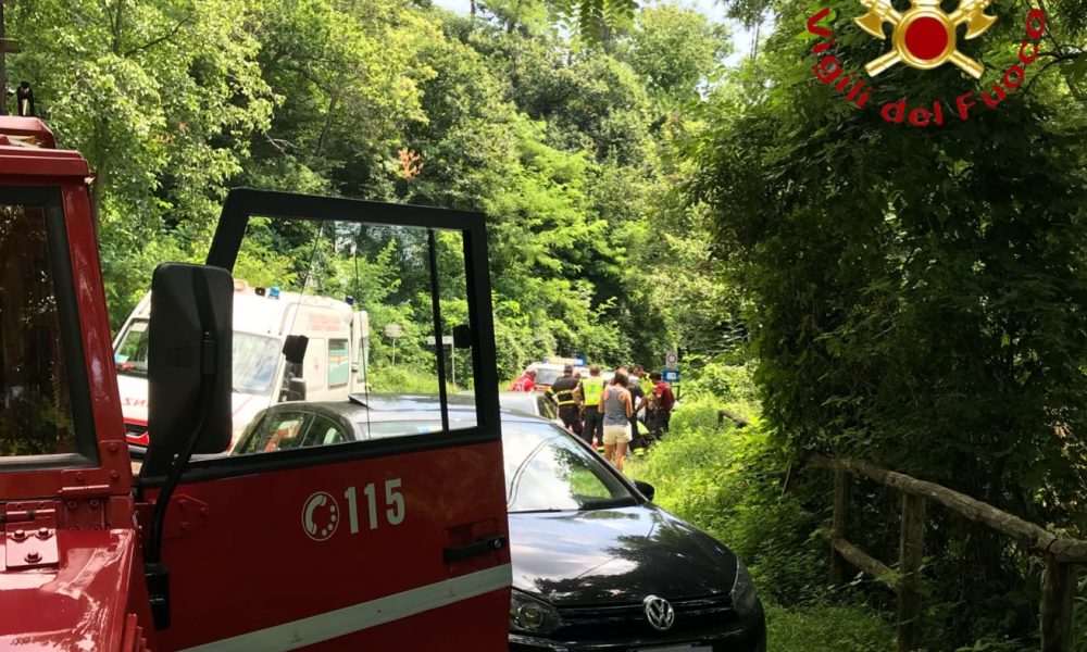 Alpe del Vicerè, schiacciato da un albero durante una passeggiata, ferito un uomo di 74 anni
