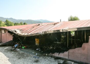 Incendio al canile della Val Basca