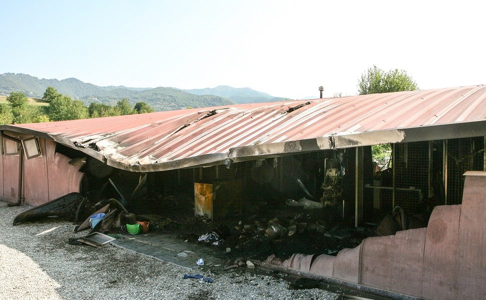 Canile della Valbasca, incendio nella notte: quattro cani morti, pesanti danni alla struttura